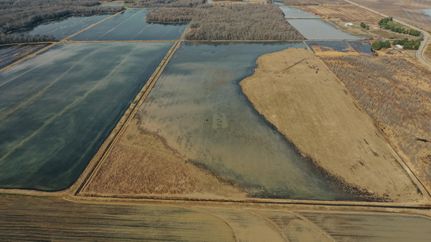 Property in Jackson County, Arkansas