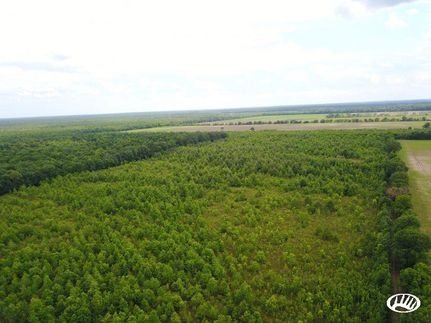 Property in Saint Landry Parish, Louisiana