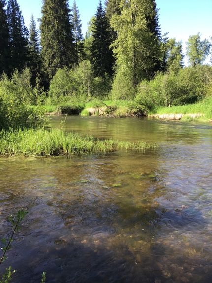 Property in Benewah County, Idaho