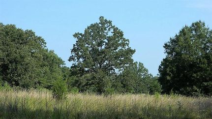 Property in Titus County, Texas