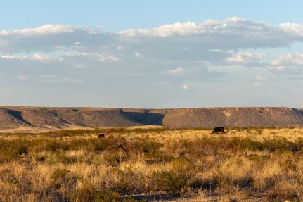 Property in Presidio County, Texas