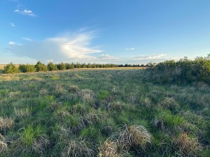 Property in Kit Carson County, Colorado