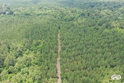 Property in Tangipahoa Parish, Louisiana