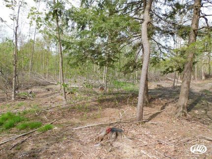 Property in Erie County, Pennsylvania