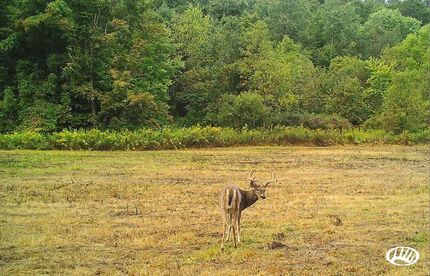 Property in Washington County, New York
