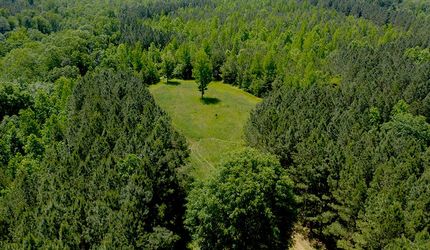 Property in Cullman County, Alabama