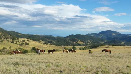 Property in Park County, Colorado