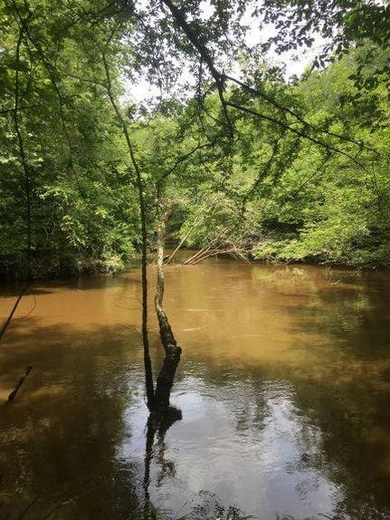 Property in Chesterfield County, South Carolina