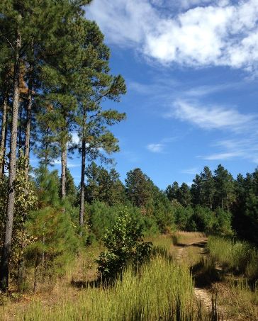 Property in Benton County, Tennessee