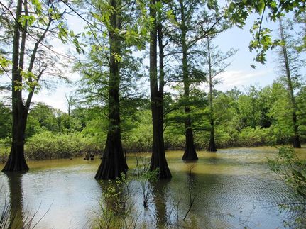 Property in Ballard County, Kentucky