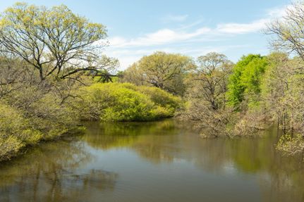 Property in Cherokee County, Texas