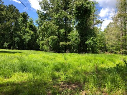 Property in Georgetown County, South Carolina