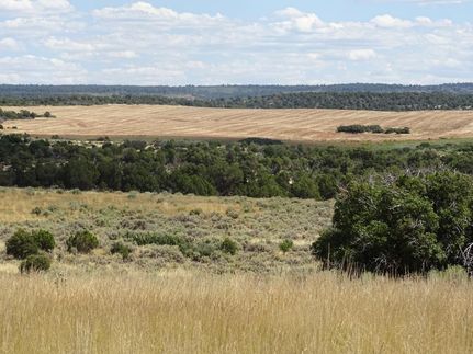 Property in Montezuma County, Colorado