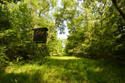 Property in Bossier Parish, Louisiana