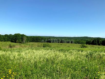 Property in Oneida County, New York