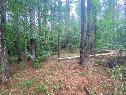 Property in Bamberg County, South Carolina