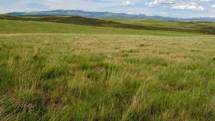Property in Moffat County, Colorado