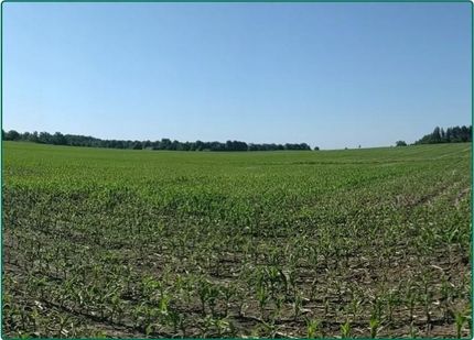 Property in Bremer County, Iowa