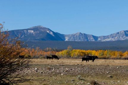 Property in Beaverhead County, Montana