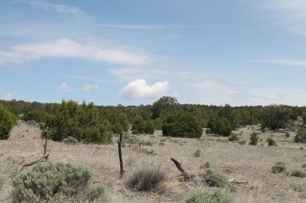Property in Catron County, New Mexico