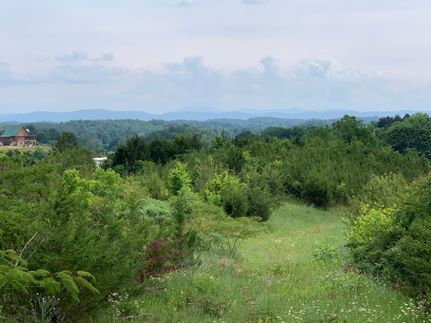 Property in Greene County, Tennessee