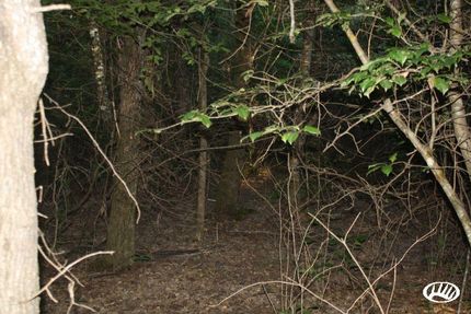 Property in Jackson Parish, Louisiana