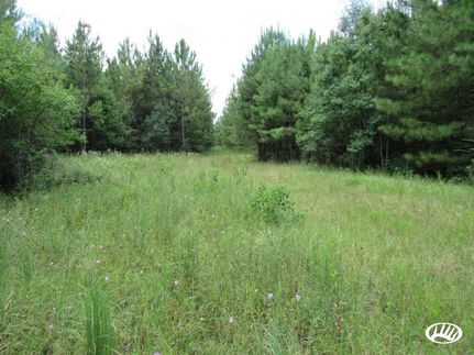 Property in Vernon Parish, Louisiana