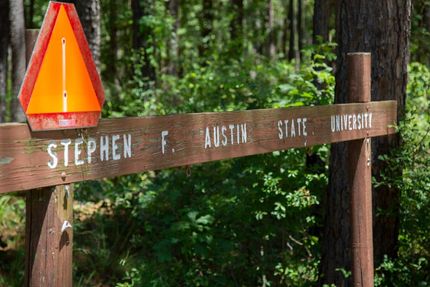 Property in San Augustine County, Texas