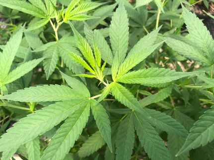 Property in Bartow County, Georgia