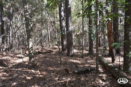 Property in East Baton Rouge Parish, Louisiana