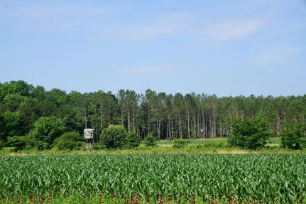 Property in Talladega County, Alabama