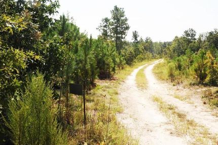 Property in Marlboro County, South Carolina