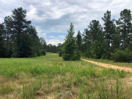 Property in Fairfield County, South Carolina