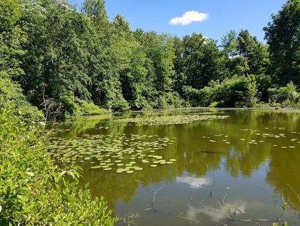 Property in Cayuga County, New York