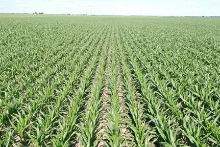 Property in Logan County, Illinois