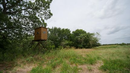 Property in Milam County, Texas