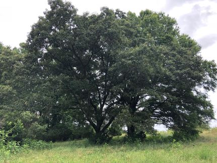 Property in Bartow County, Georgia