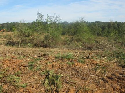 Property in Sabine Parish, Louisiana