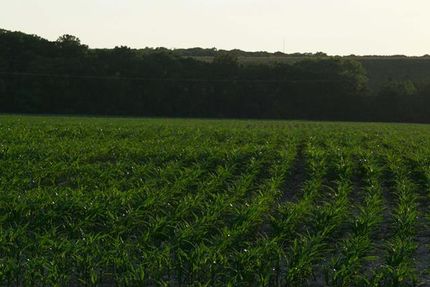 Property in Howard County, Missouri