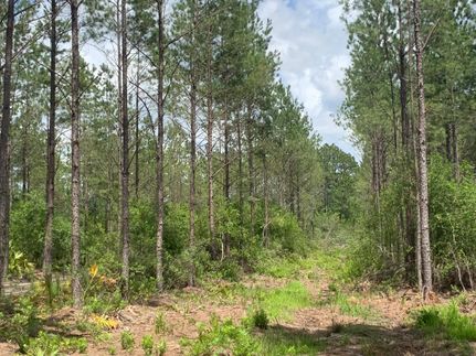 Property in Ware County, Georgia