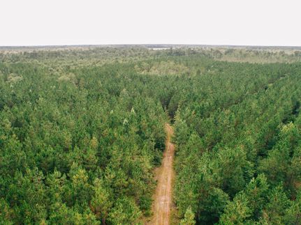 Property in Bulloch County, Georgia