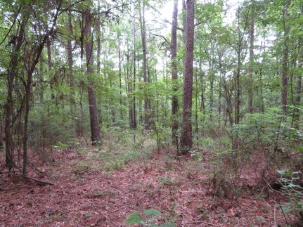 Property in Cass County, Texas