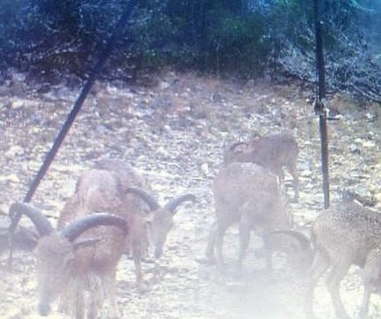 Property in Edwards County, Texas