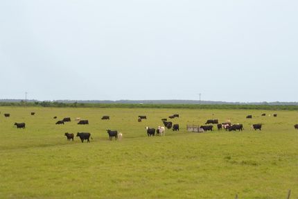 Property in Hardee County, Florida