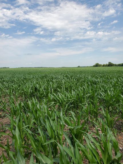 Property in Stark County, Illinois