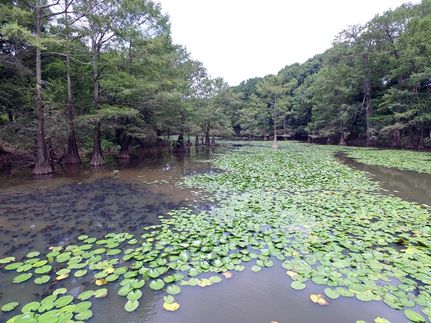 Property in McCurtain County, Oklahoma