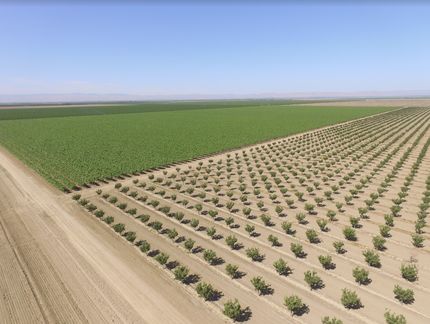 Property in Fresno County, California