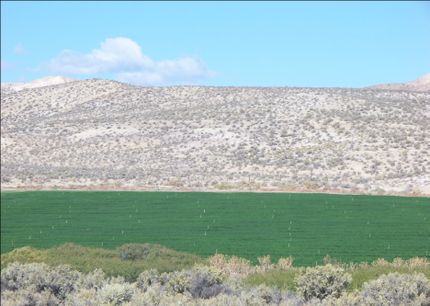 Property in Owyhee County, Idaho