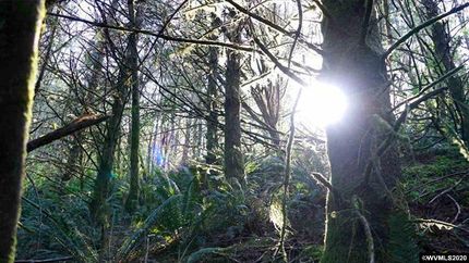 Property in Tillamook County, Oregon