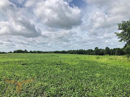 Property in Linn County, Missouri